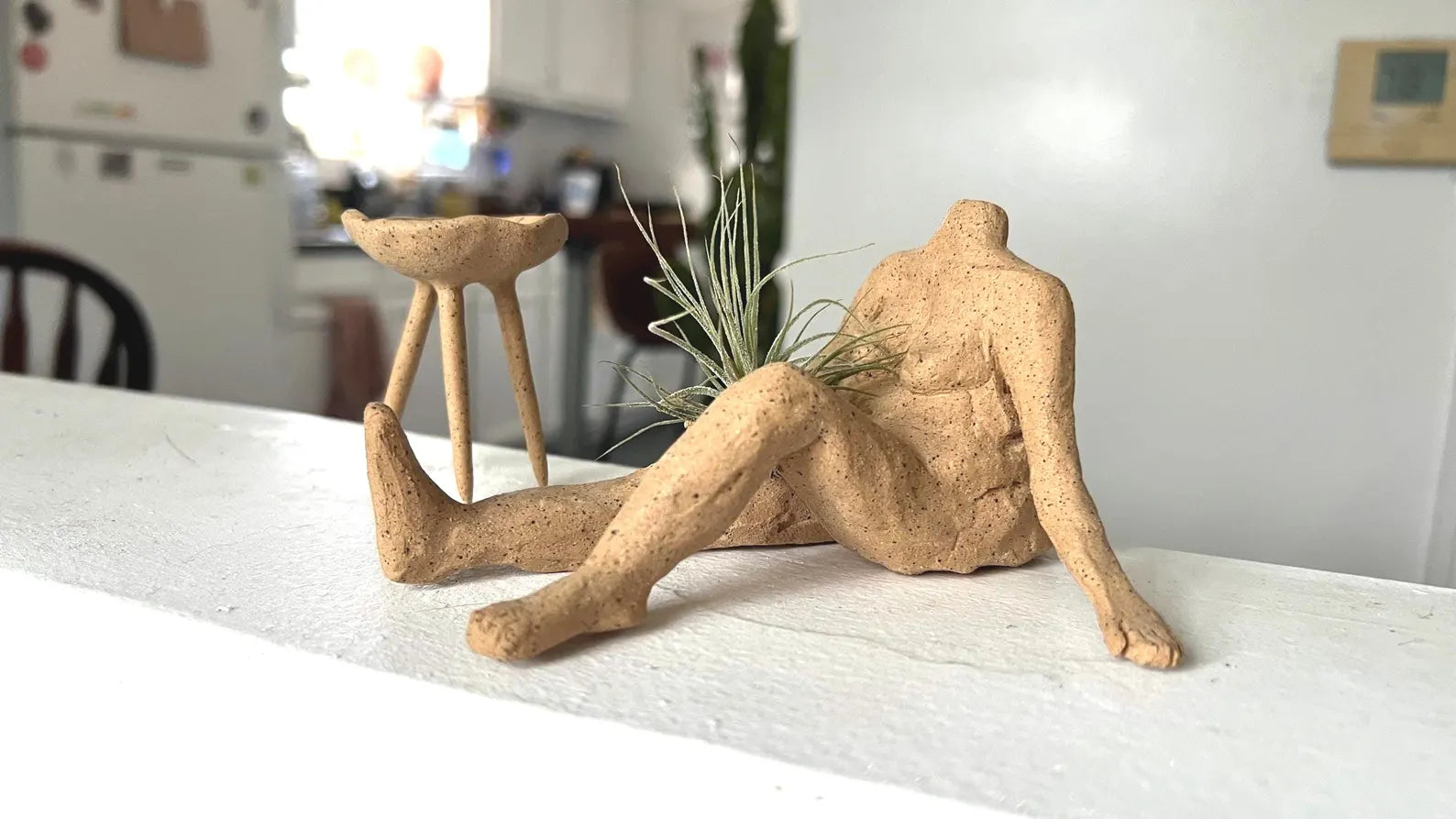 Raw Clay Body – Decorative Air Plant Holder