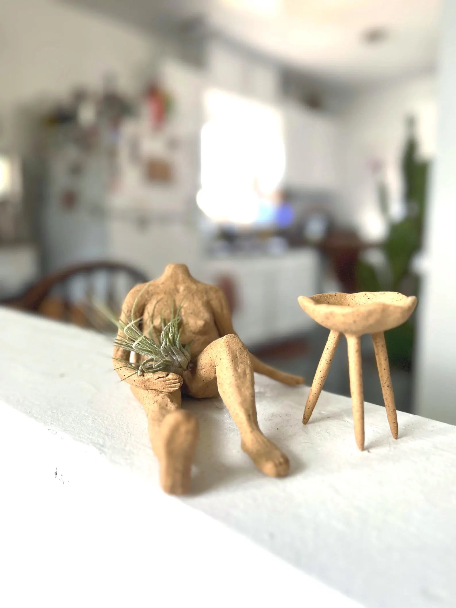 Raw Clay Body – Decorative Air Plant Holder