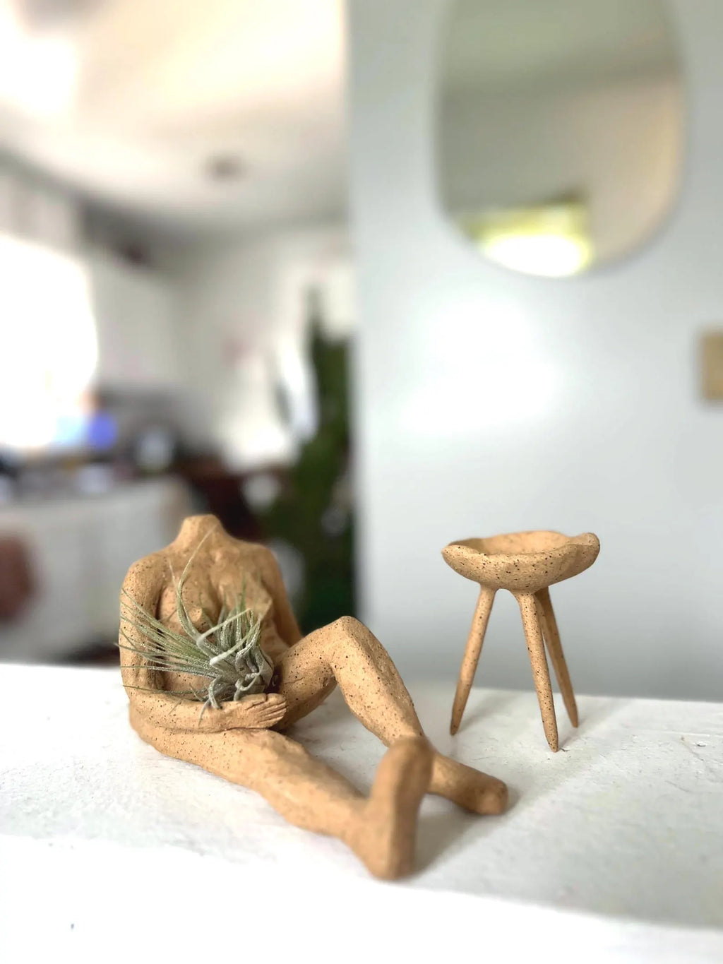 Raw Clay Body – Decorative Air Plant Holder