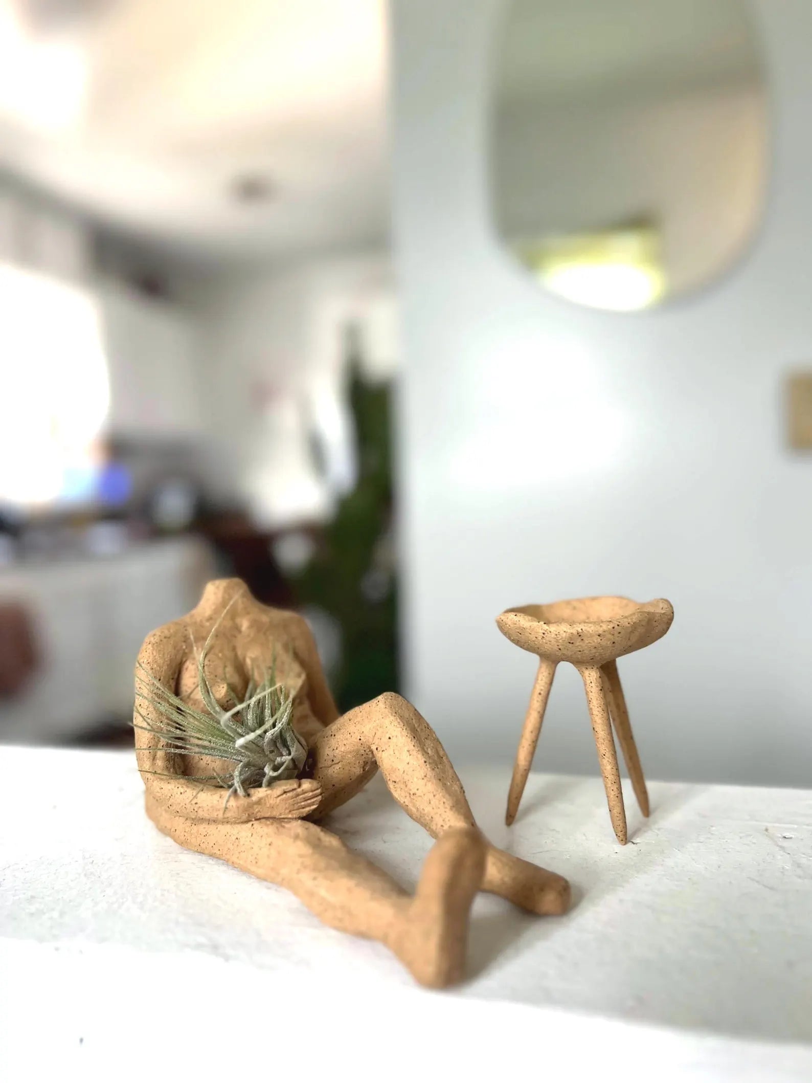 Raw Clay Body – Decorative Air Plant Holder