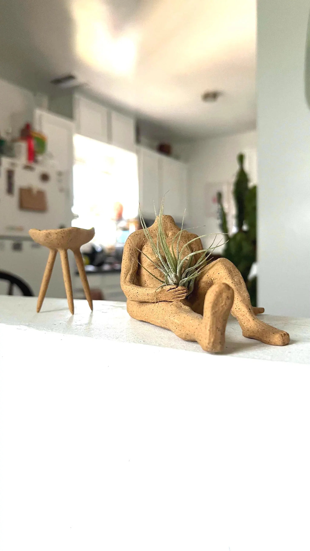 Raw Clay Body – Decorative Air Plant Holder